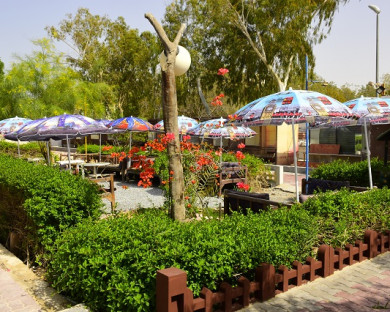 Kish-Fanoos-24.jpg