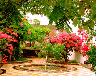 Kish-Flamingo-07.jpg