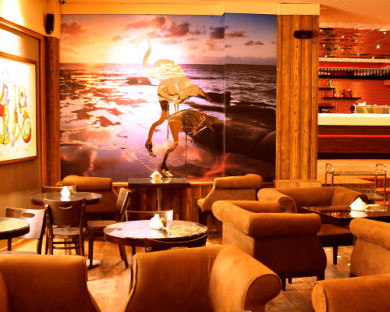 Kish-Flamingo-08.jpg