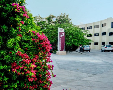 Kish-Goldis-24.jpg