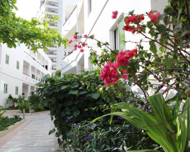 Kish-Paniz-08.jpg