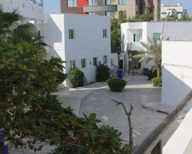 Kish-Paniz-09.jpg
