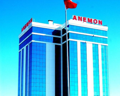 Konya-Anemon-2.jpg