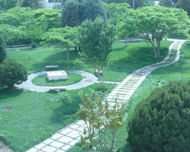 Mashhad-InternationalHoma1-53.jpg