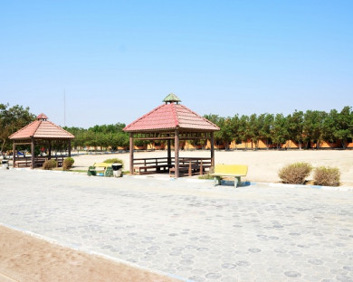 Qeshm-SahelTalaee-33.jpg