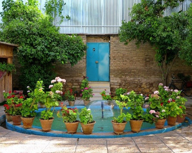 Shiraz-Iranian_garden-37.jpg