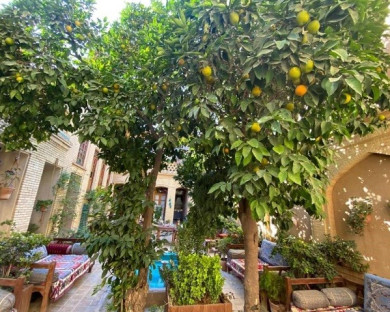 Shiraz-Mahmonir-11.jpg