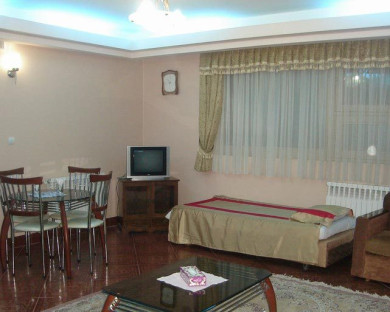 Shiraz-Parmis-01.jpg
