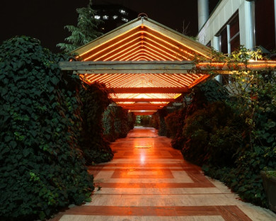 Tehran-Homa-20.jpg