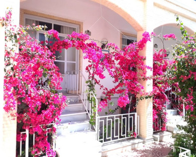 Yazd-Boniad-11.jpg