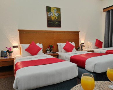 dubai-leparadisepalace-10.jpg