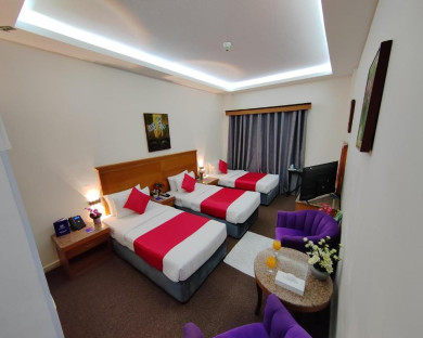 dubai-leparadisepalace-9.jpg