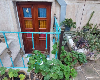 shiraz-malektaj-4.jpg