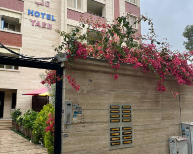 shiraz-taeb-1.jpg